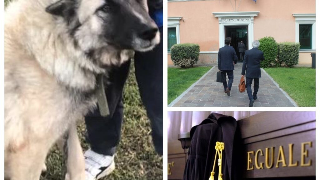 rufus processo imperia