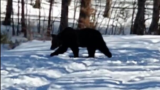 Juan Carrito roccaraso