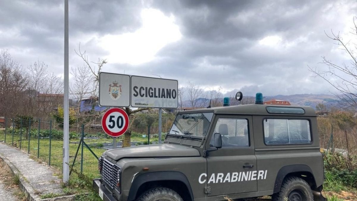 Immagine
