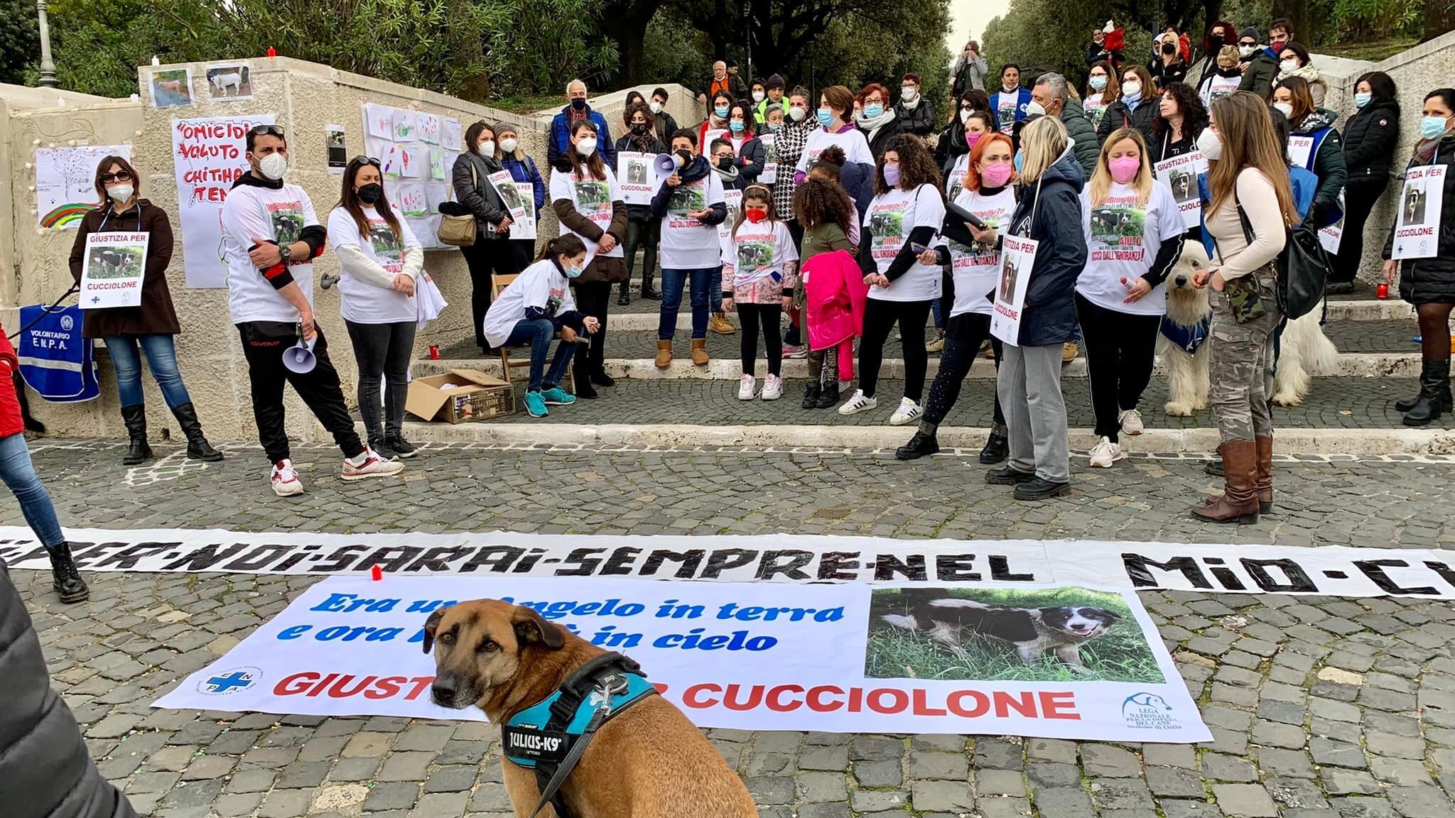 fiaccolata cucciolone