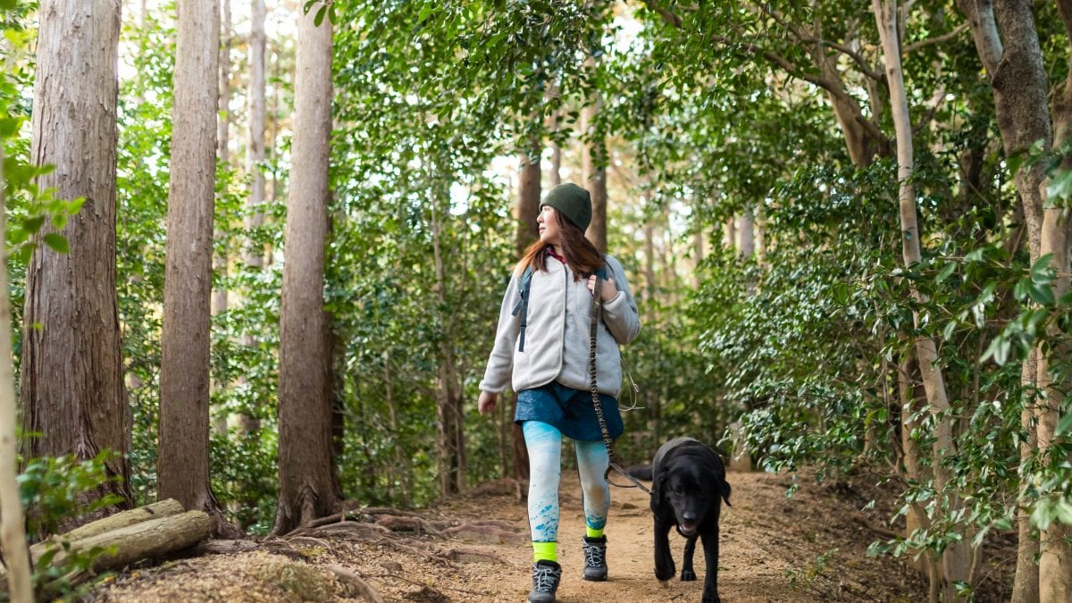 cane escursione parco nazionale