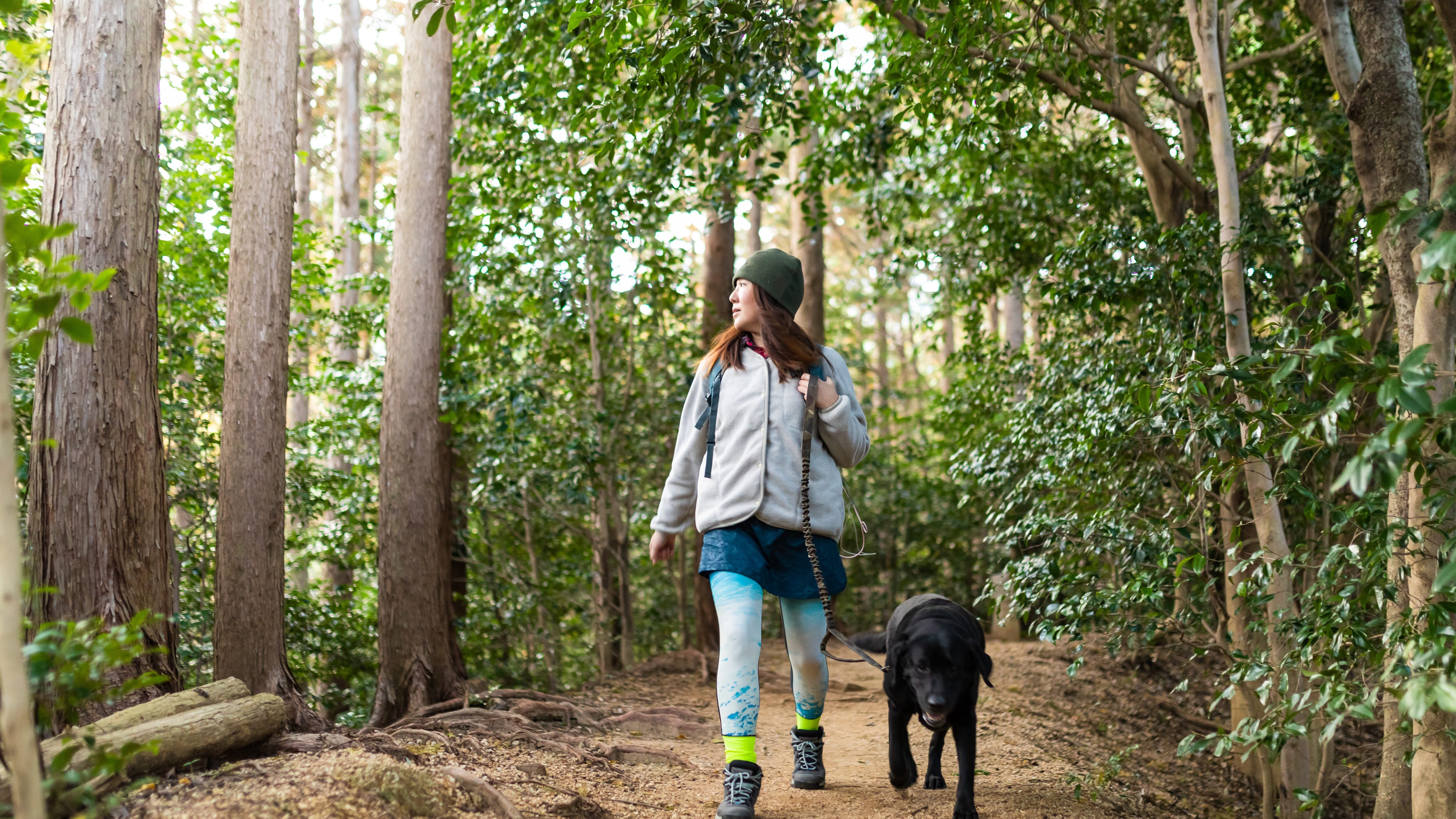 cane escursione parco nazionale