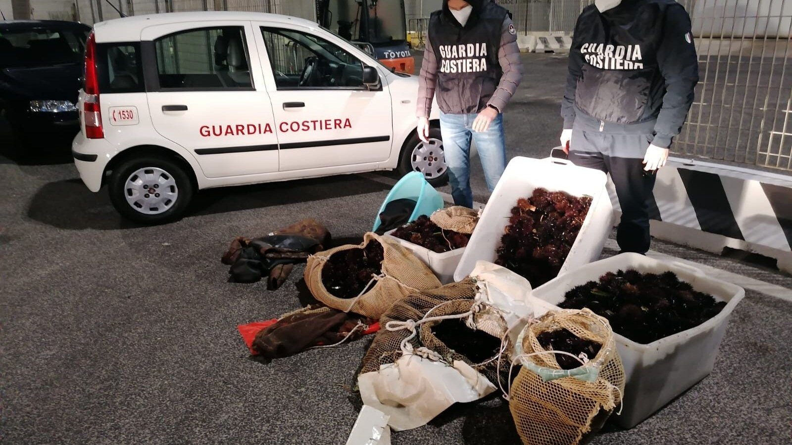 pesca frodo ricci di mare