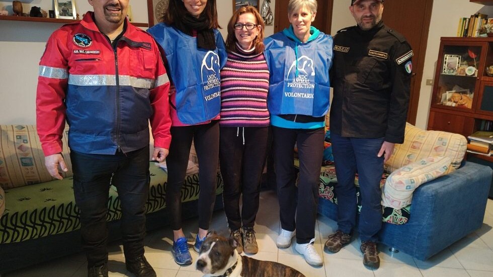 leon selvy guerra ucraina