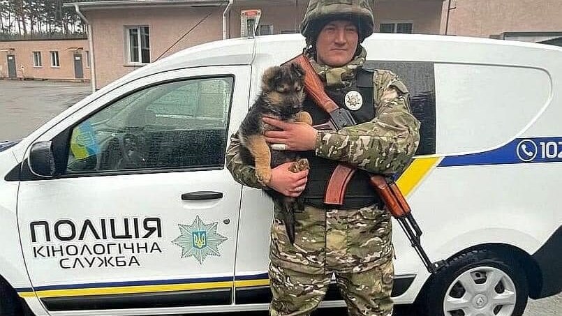 cane polizia ucraina