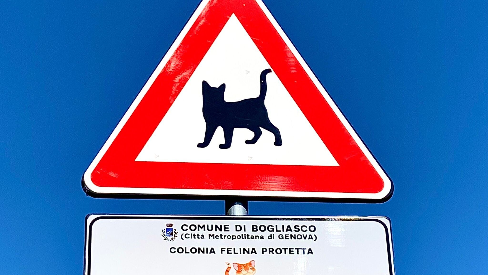 colonia felina bogliasco