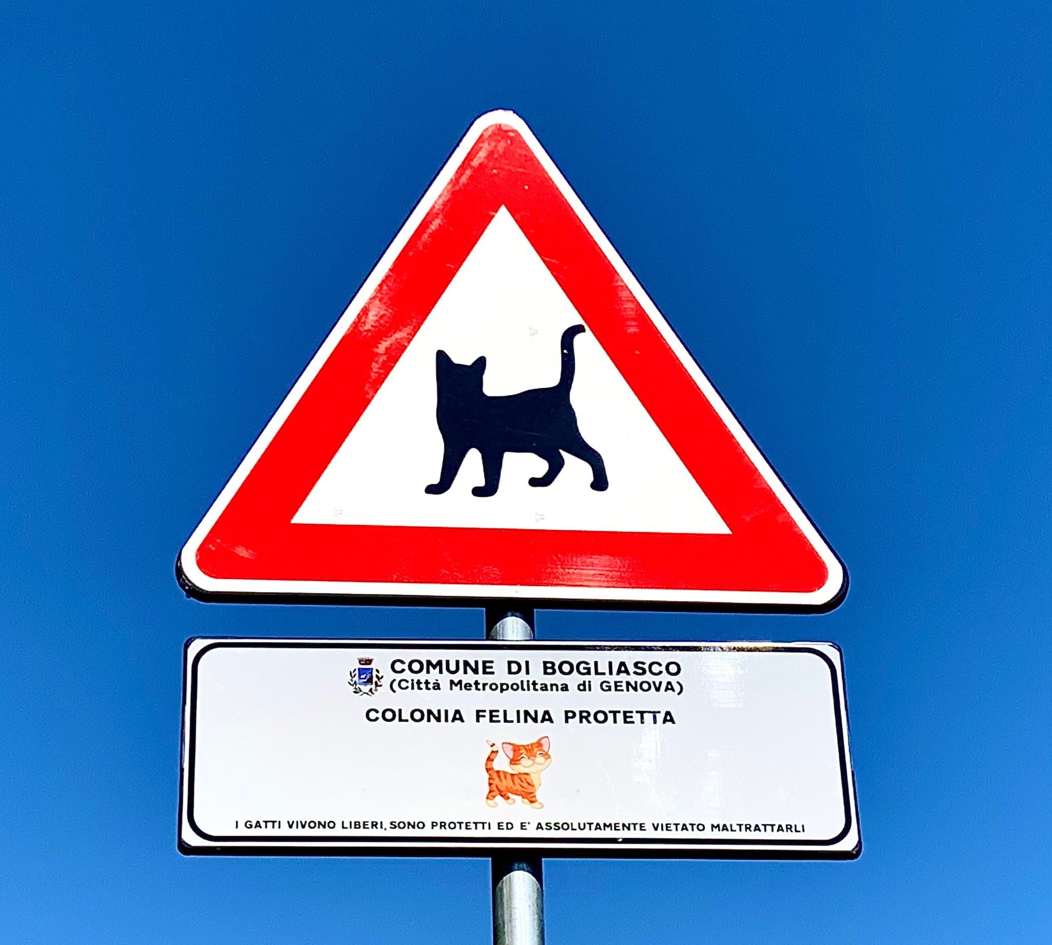 colonia felina bogliasco