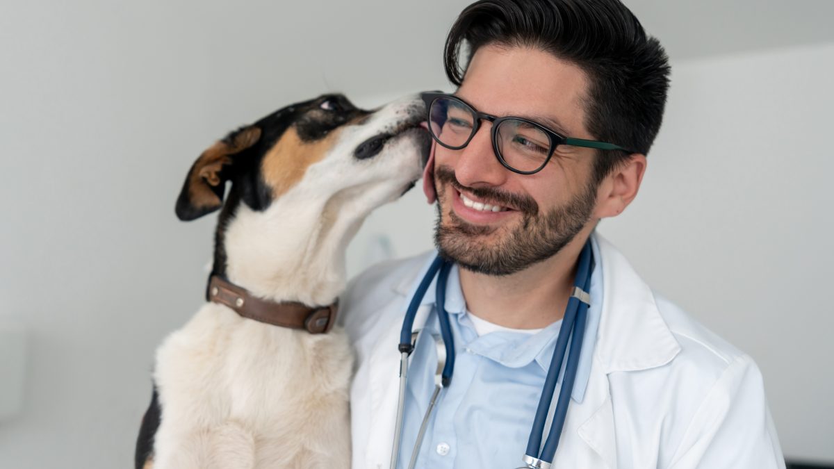 veterinario ucraina