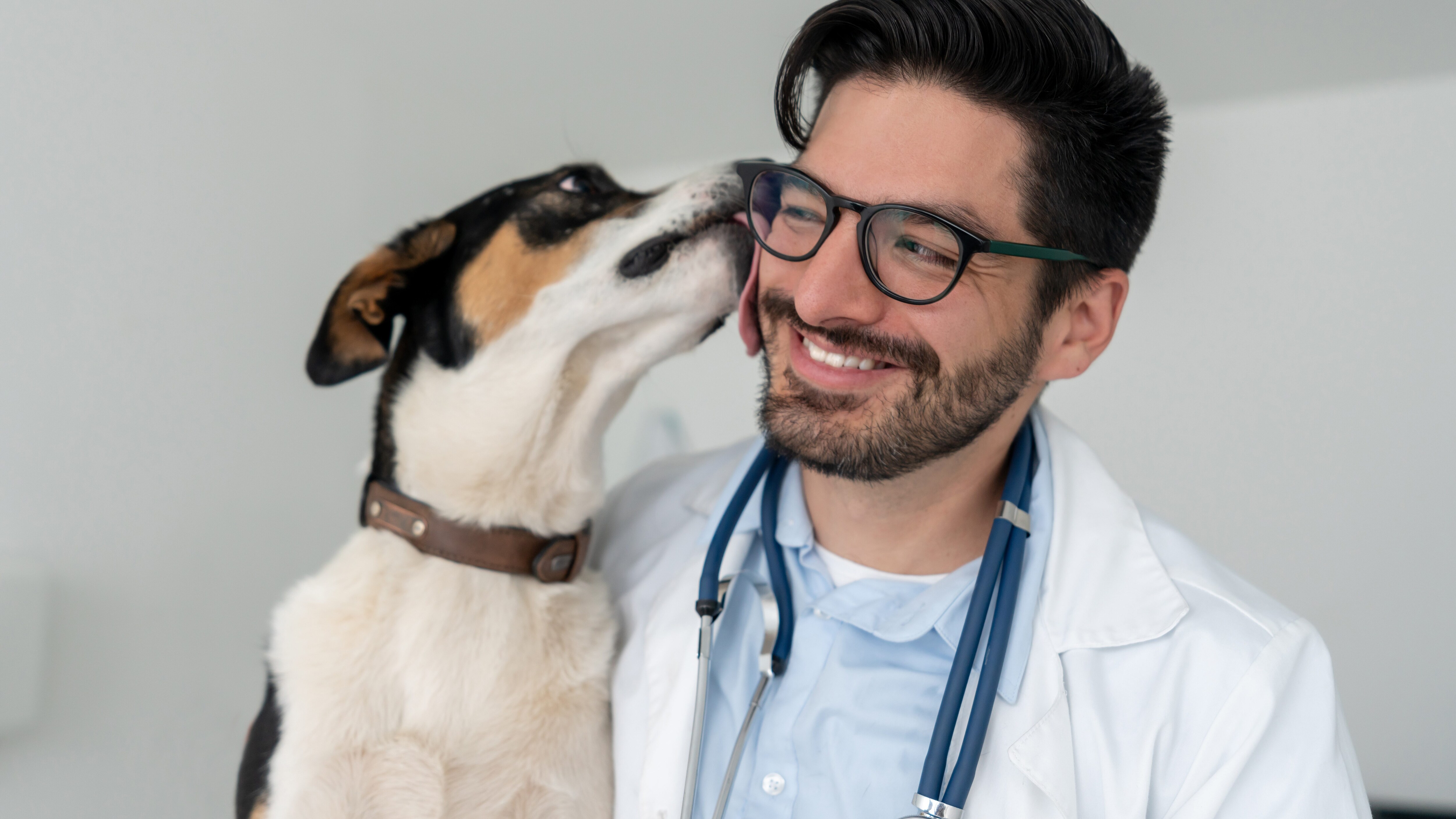 veterinario ucraina