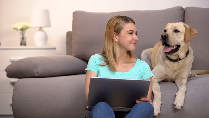 algoritmo cane empethy