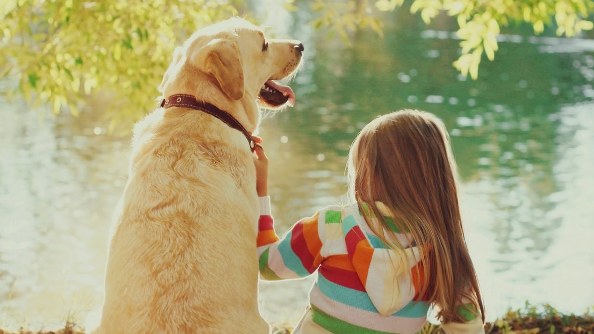 cani bambino pet therapy