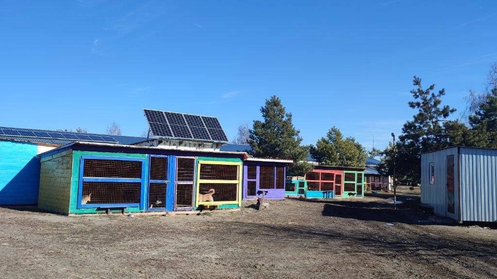 rifugio ucraina best friends