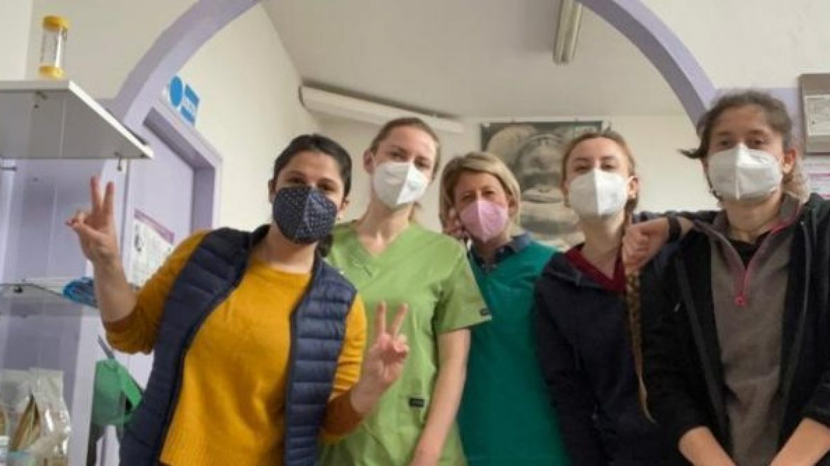 veterinarie ucraina anmvi