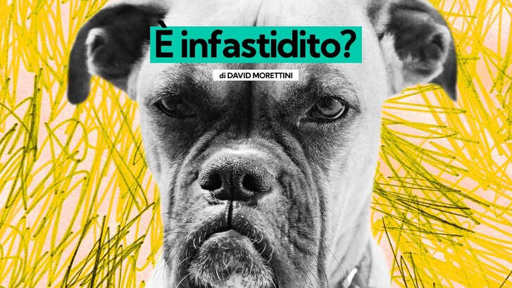 Immagine