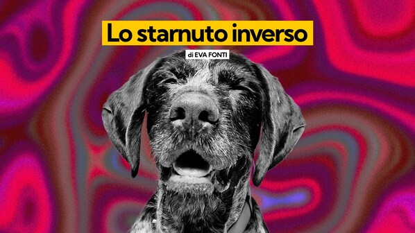 starnuto inverso