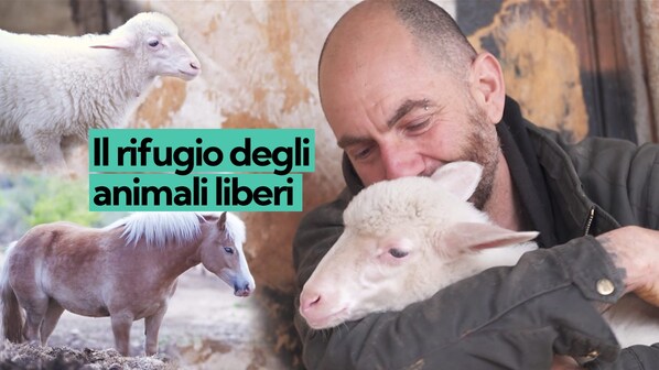 Immagine