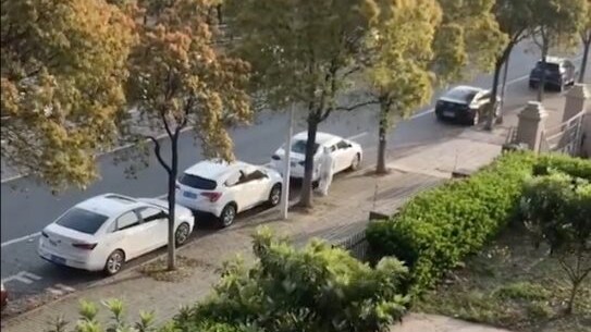 video cane shanghai