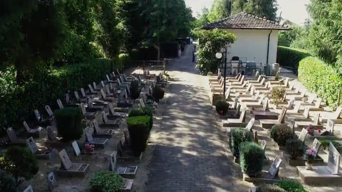 Immagine