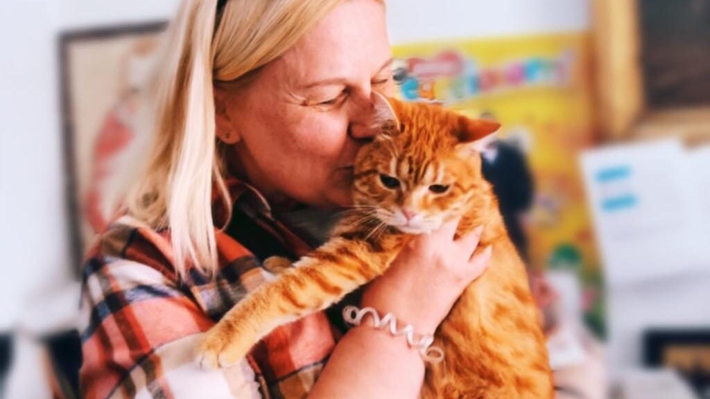 simba gatto ucraina