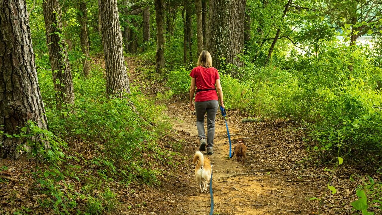 cani parco escursione