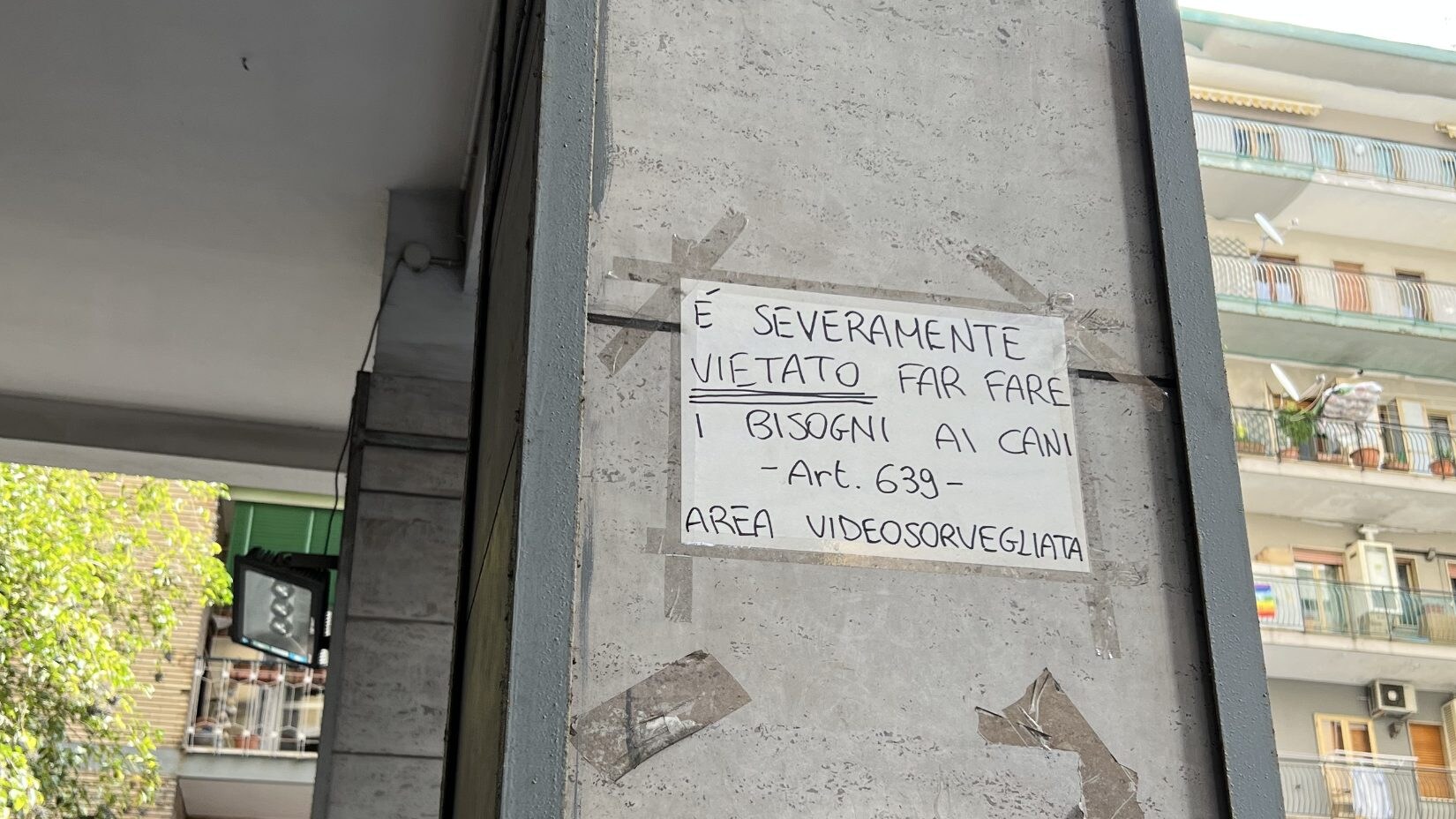 Immagine