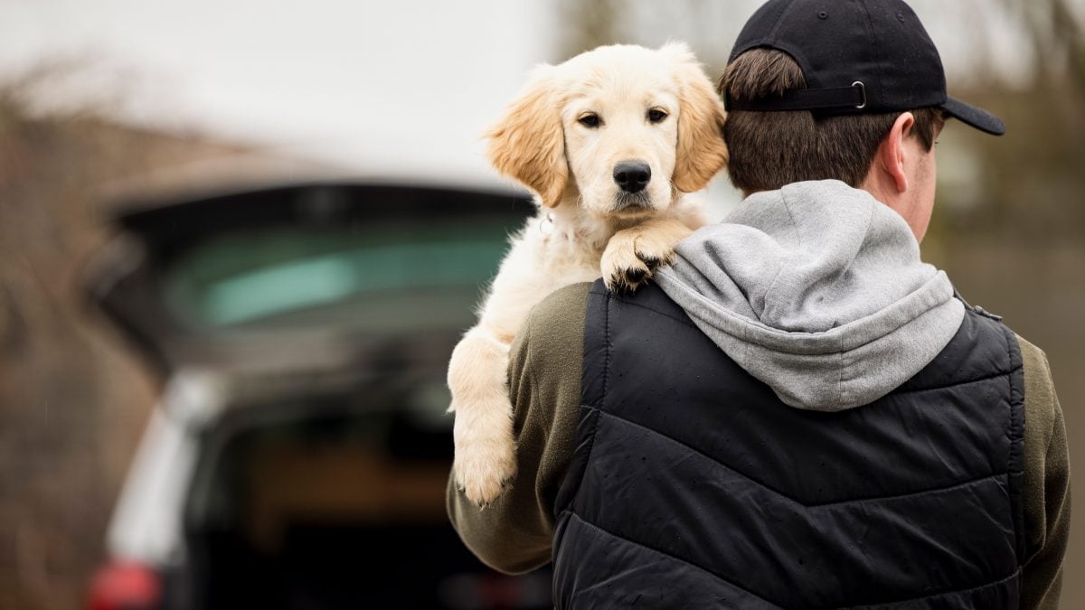 cane viaggio ucraina italia