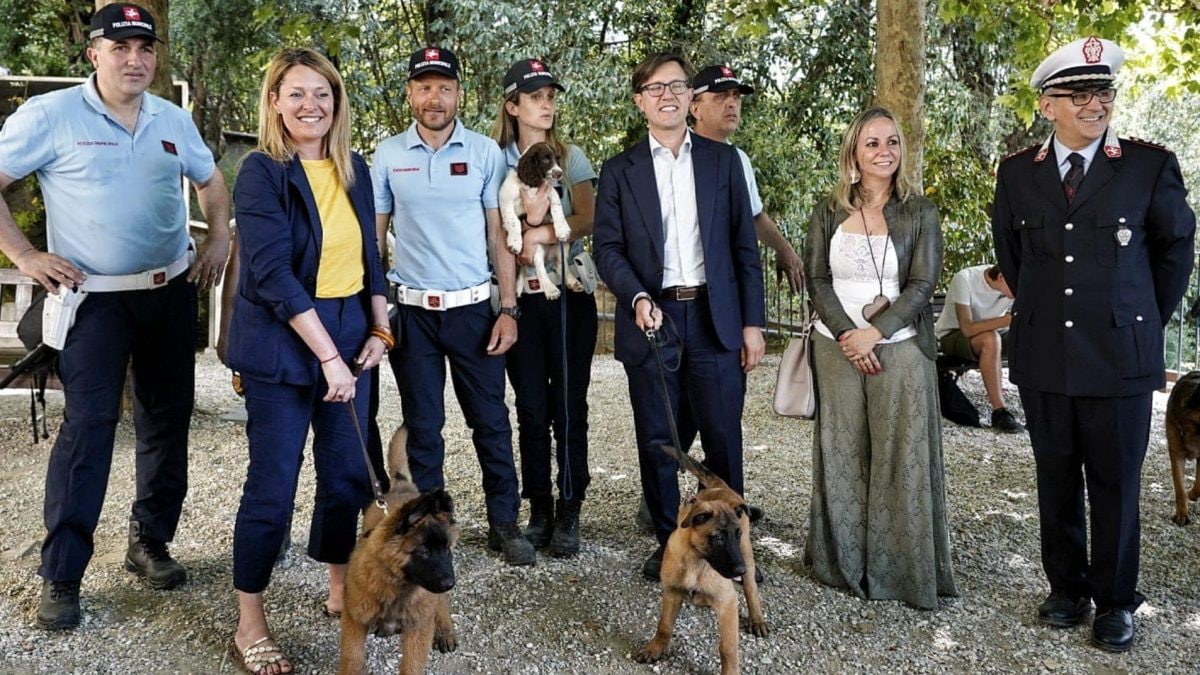 Immagine