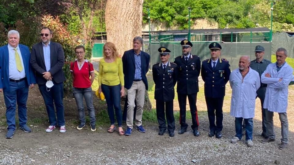 cras stella del nord volontari