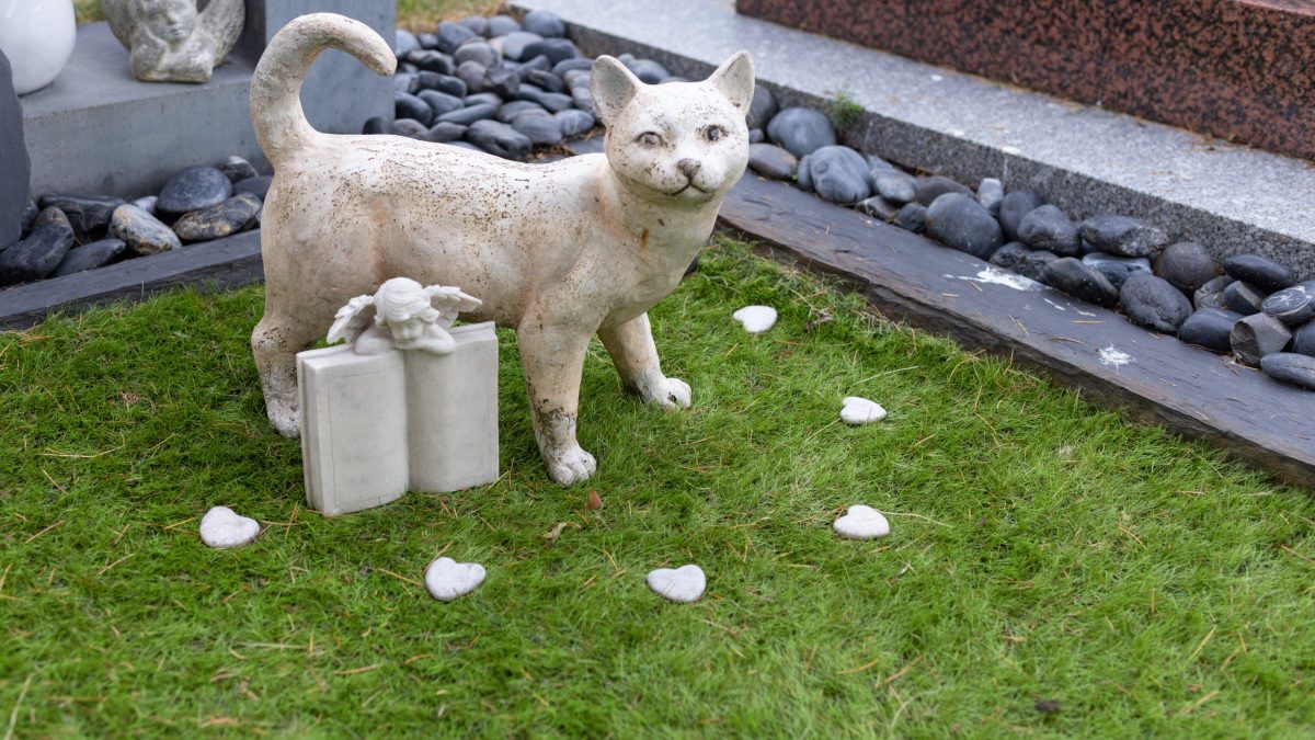 cimitero animali