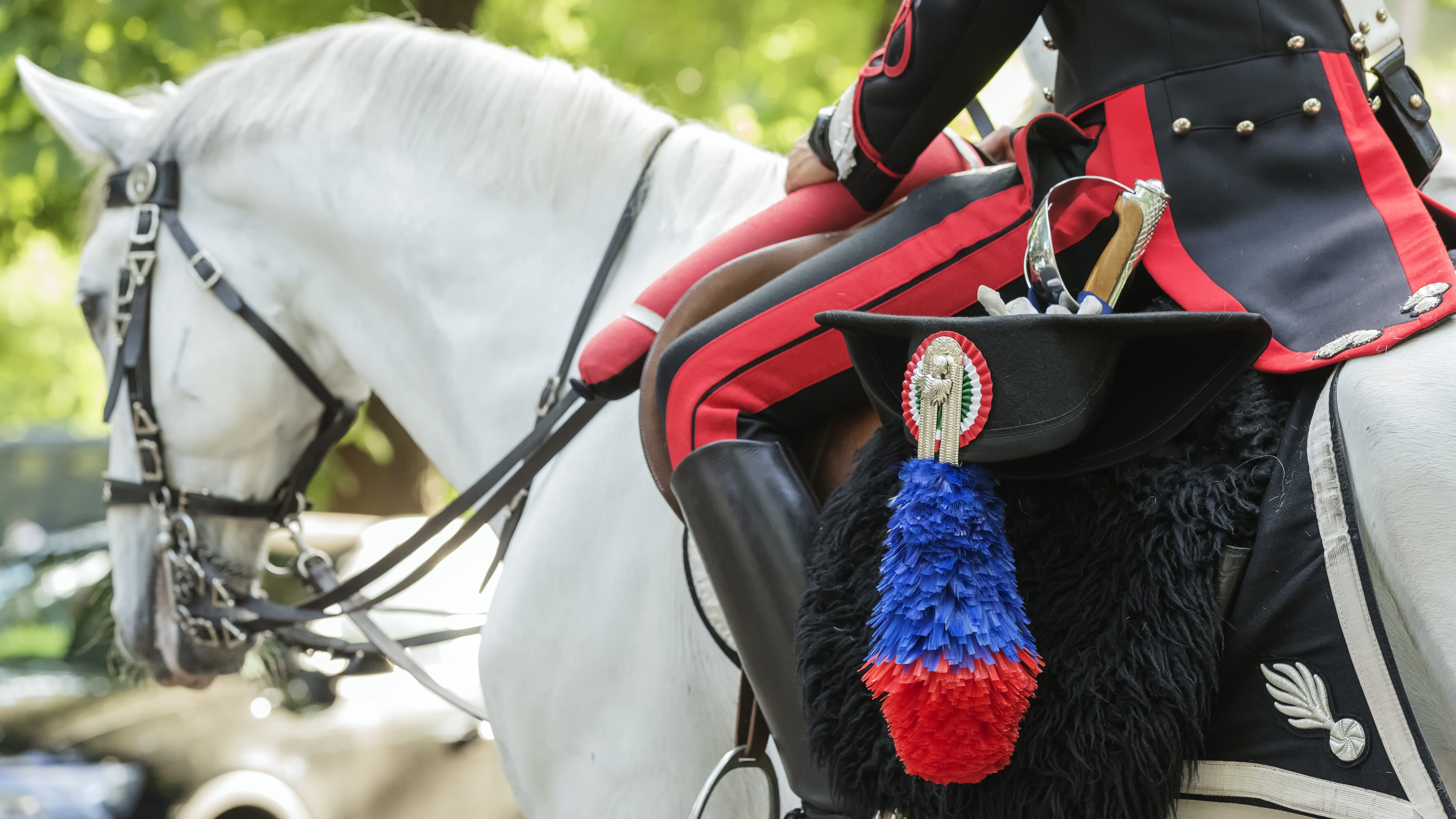 carabinieri cavallo