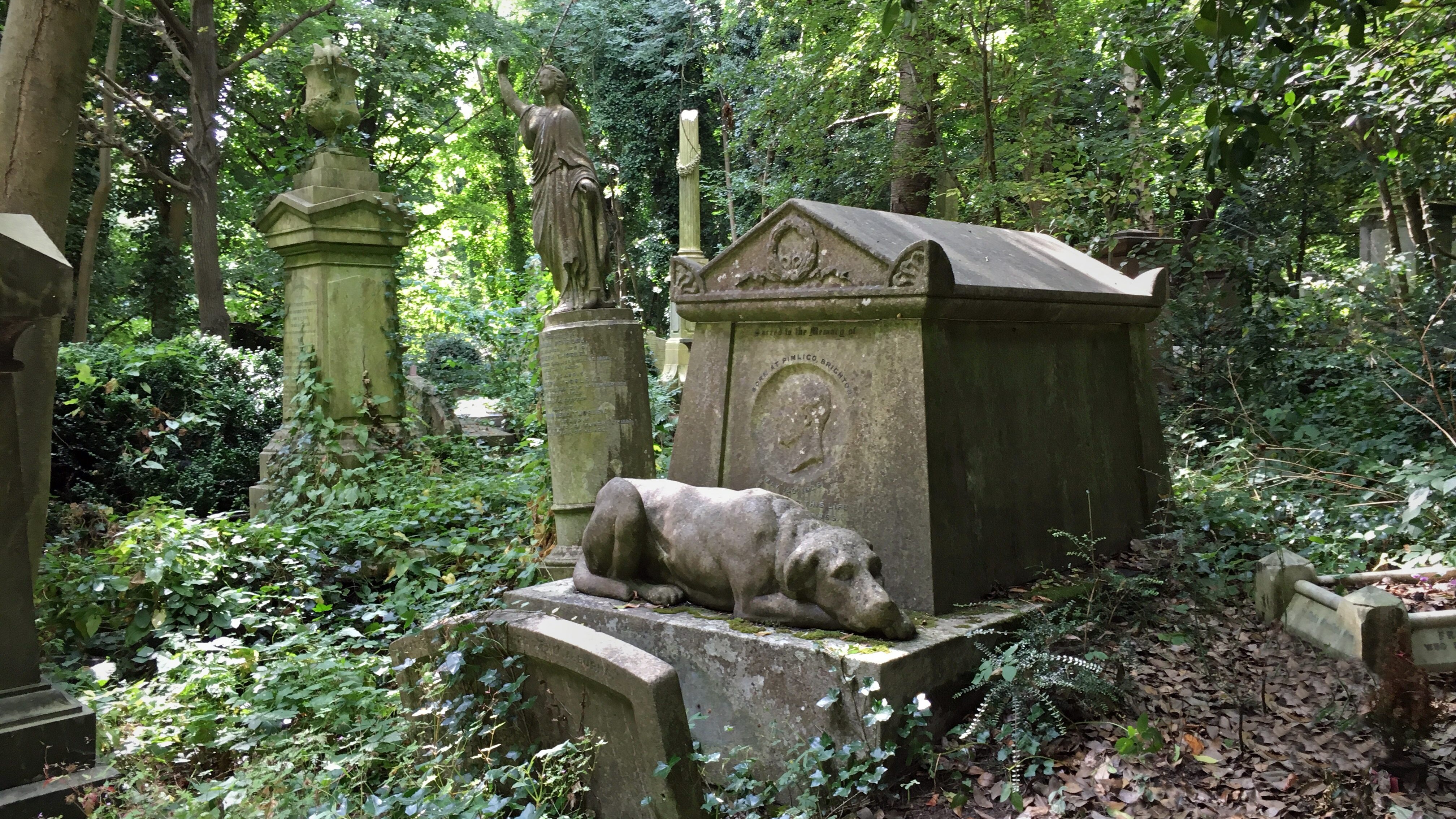 cimitero animali londra