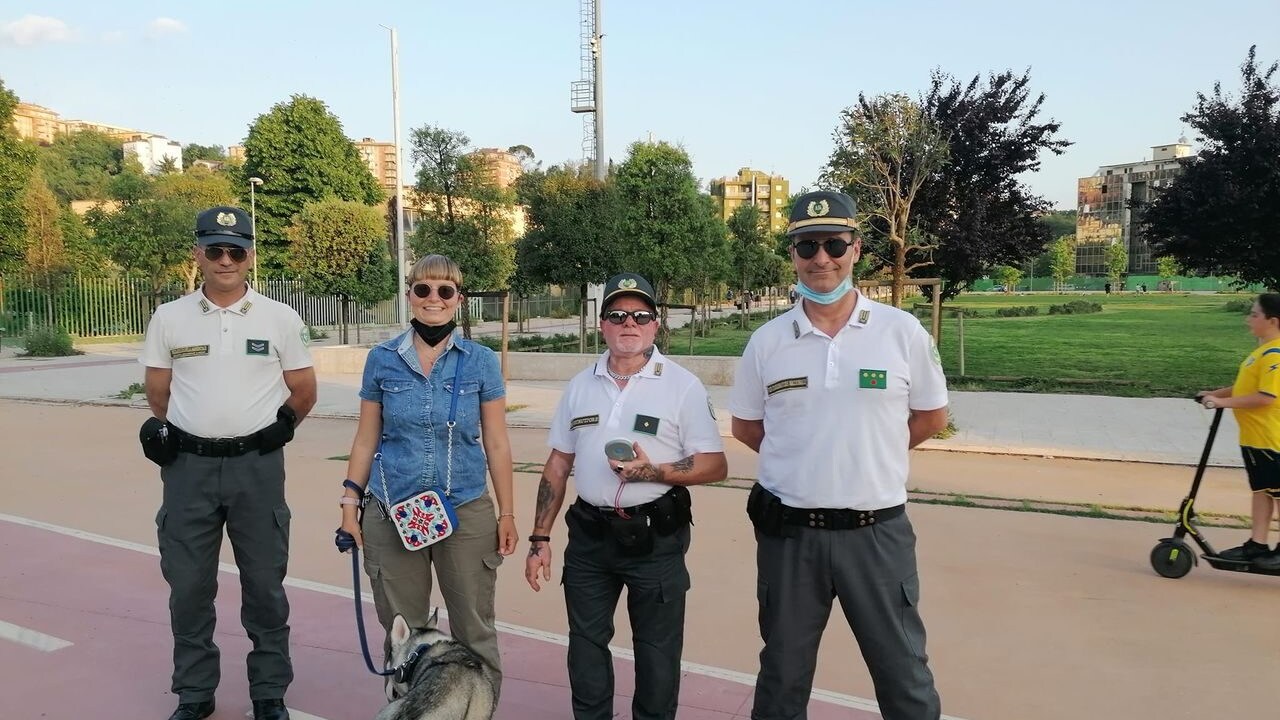 microchip frosinone