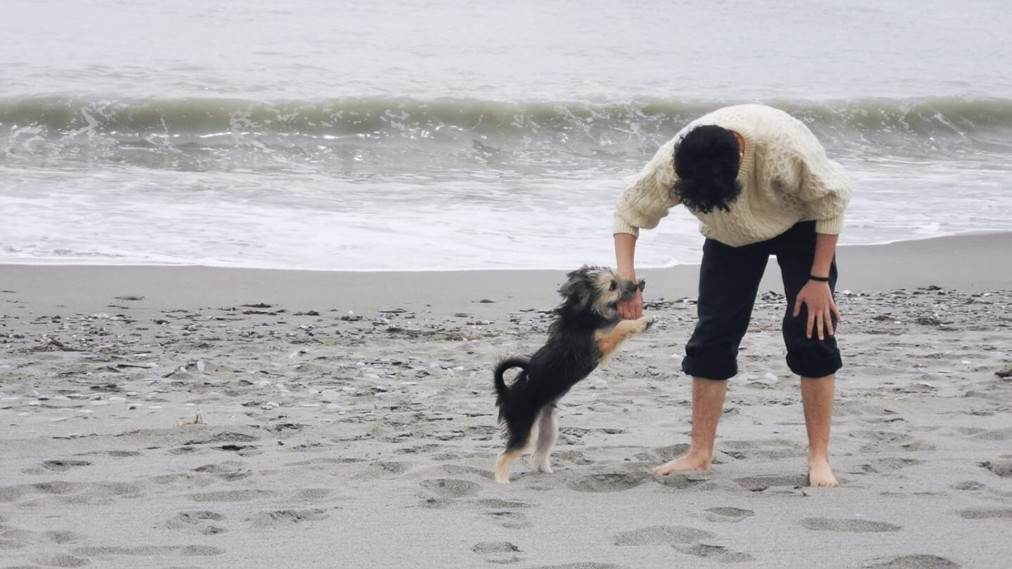 Immagine