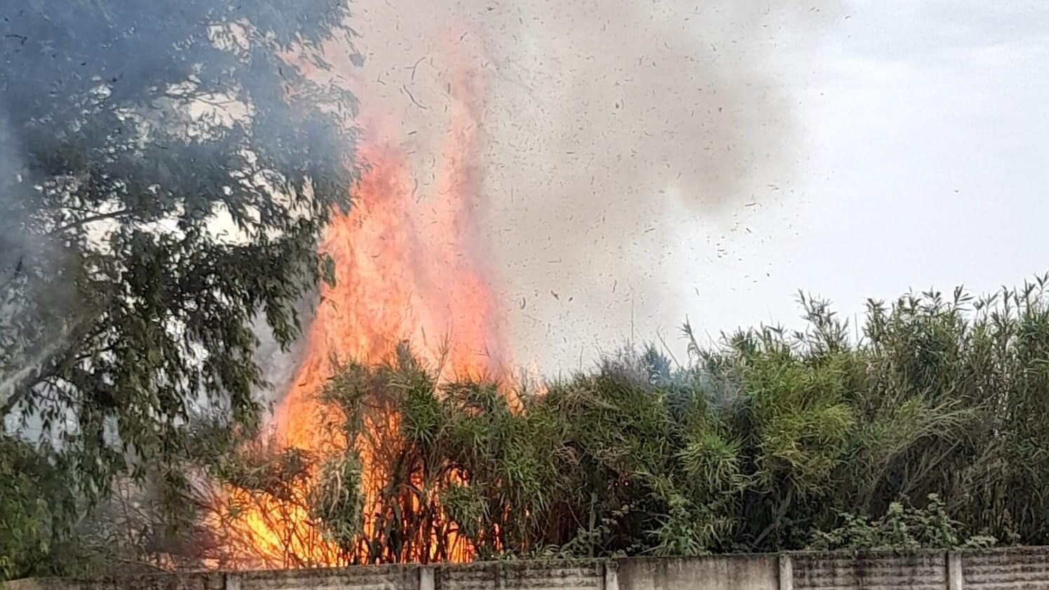 Incendio Pomezia