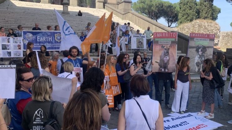 Manifestazione muratella