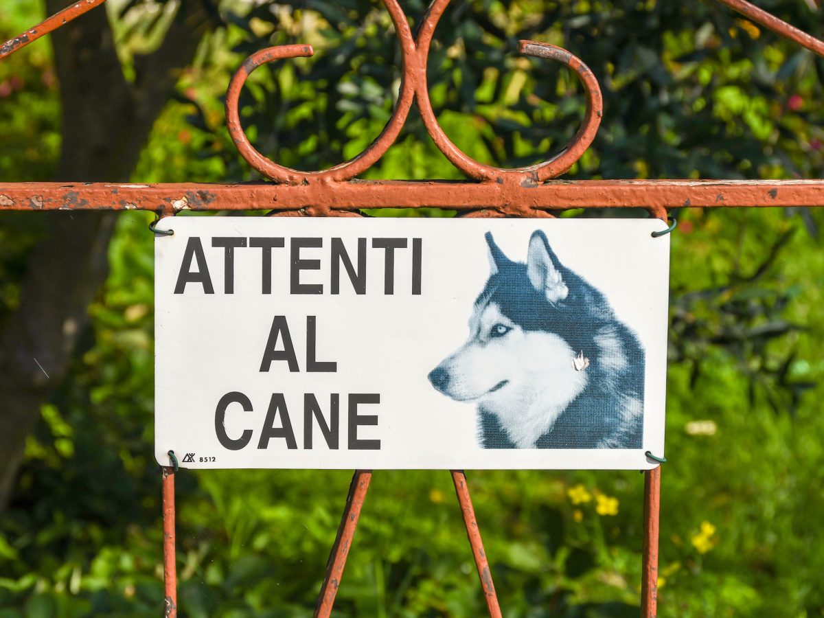 Cartello ATTENTI AL CANE Con West Highland White Terrier - Targa Da Cancello 30x21,5 Cm In Plastica Laminata Resistente