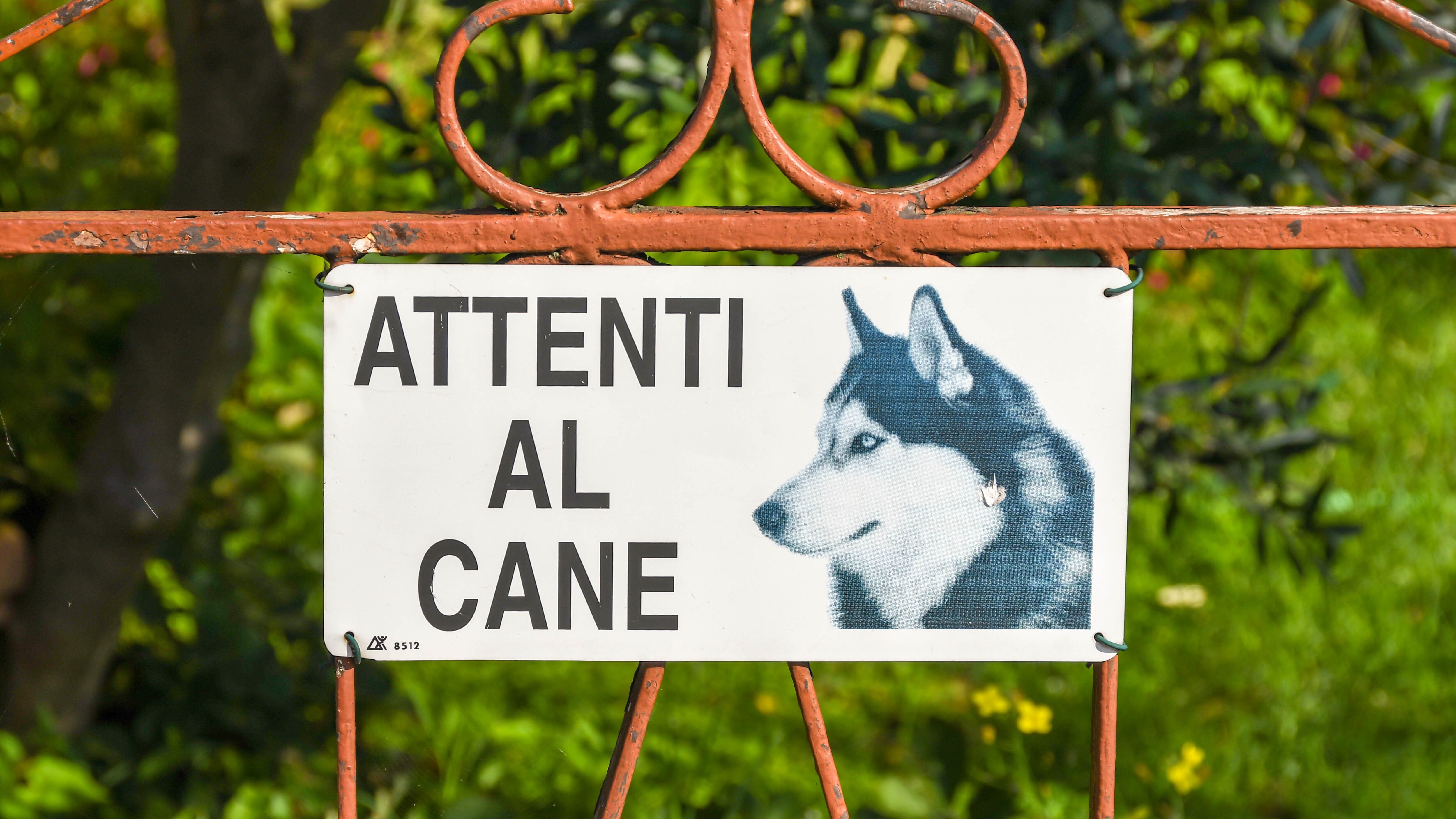 Immagine