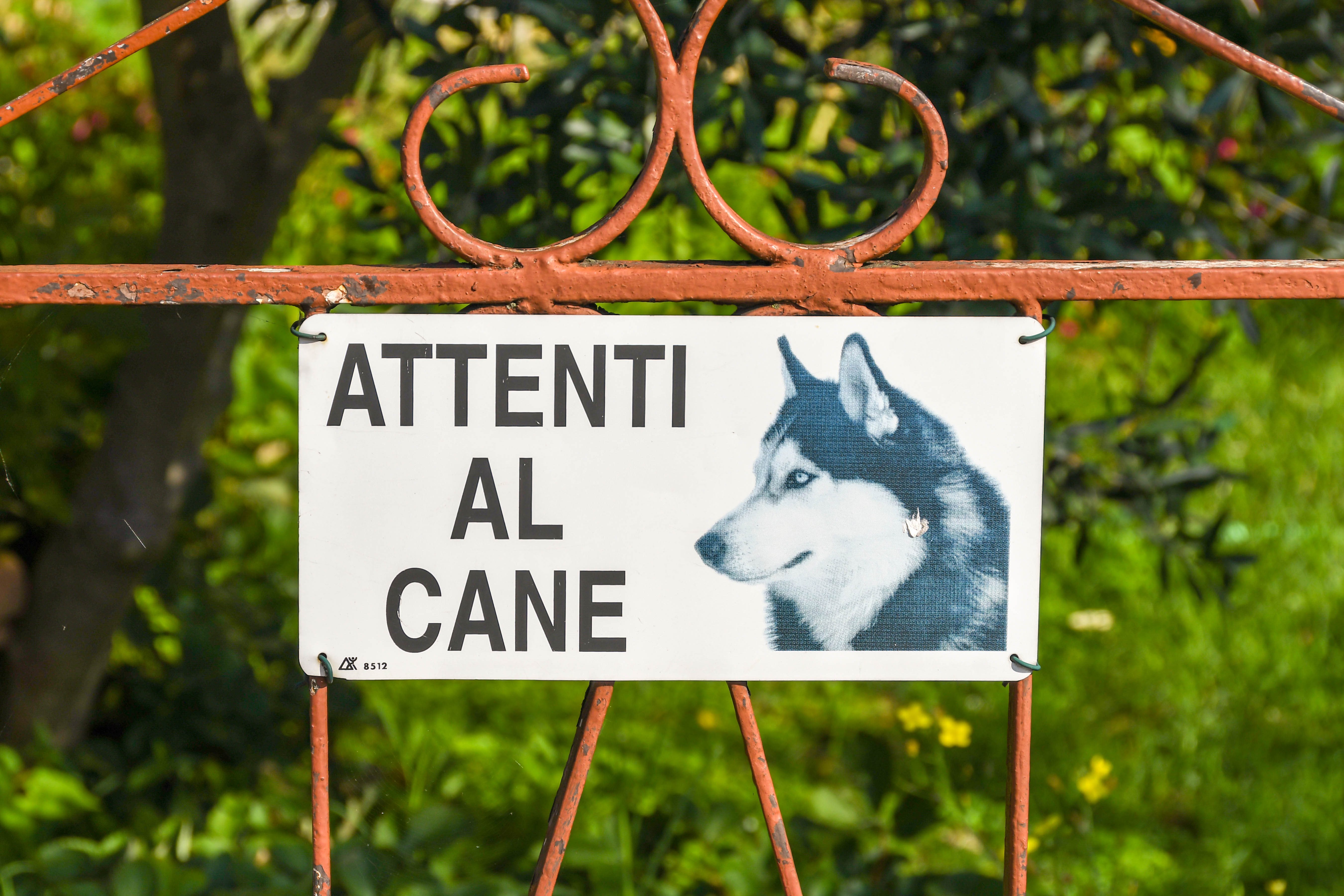 Immagine