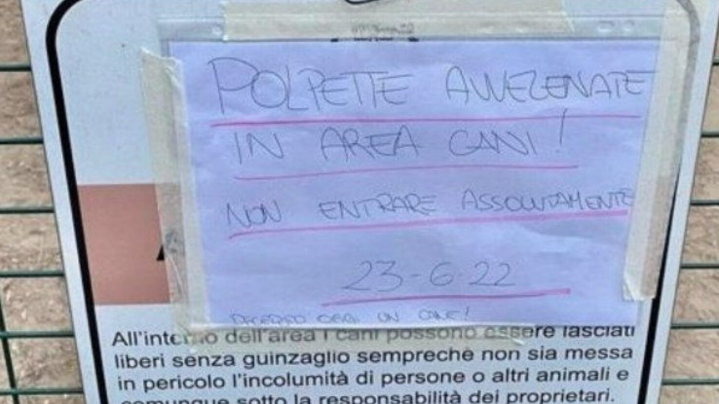 Immagine