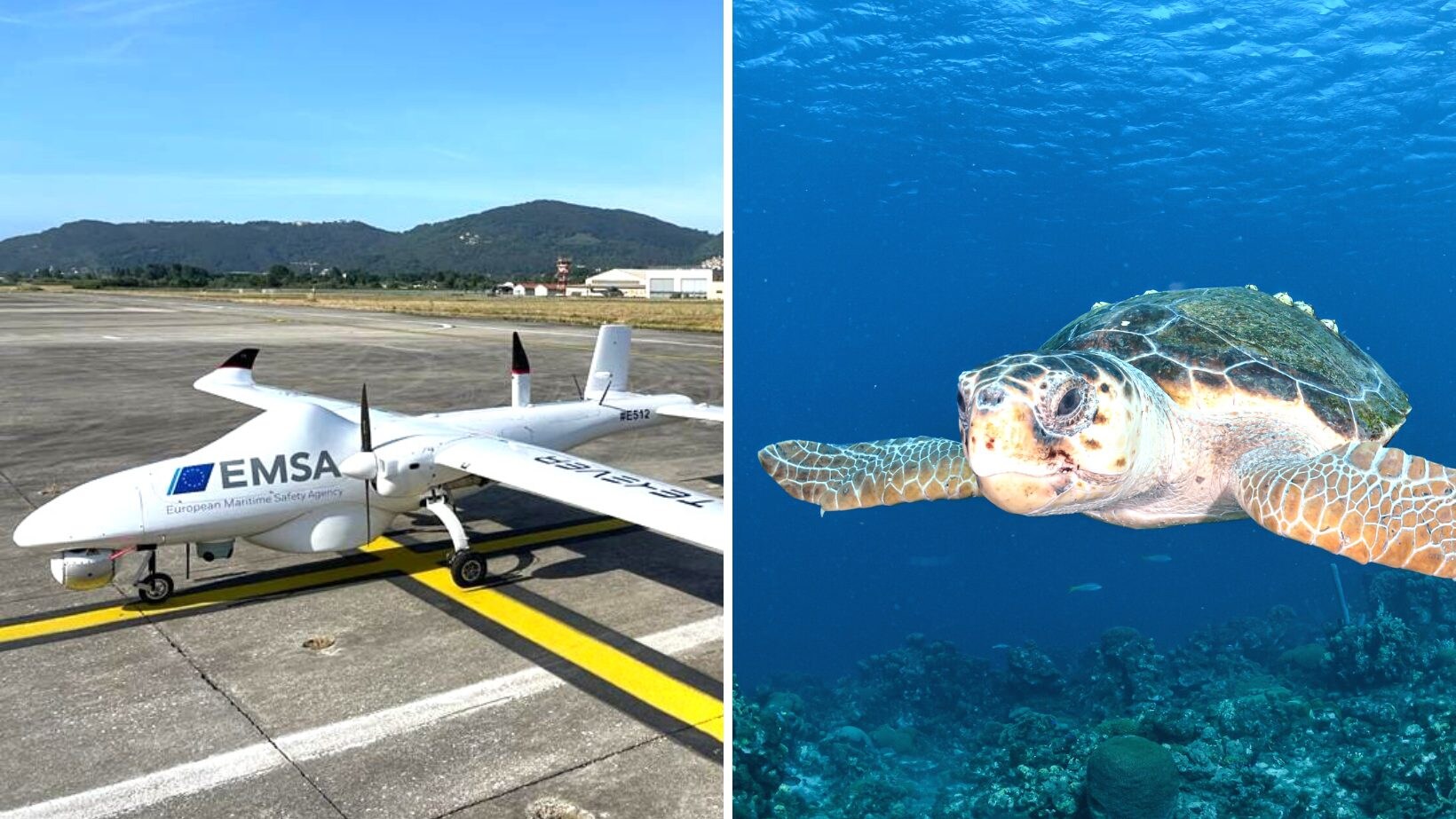 drone tartarughe