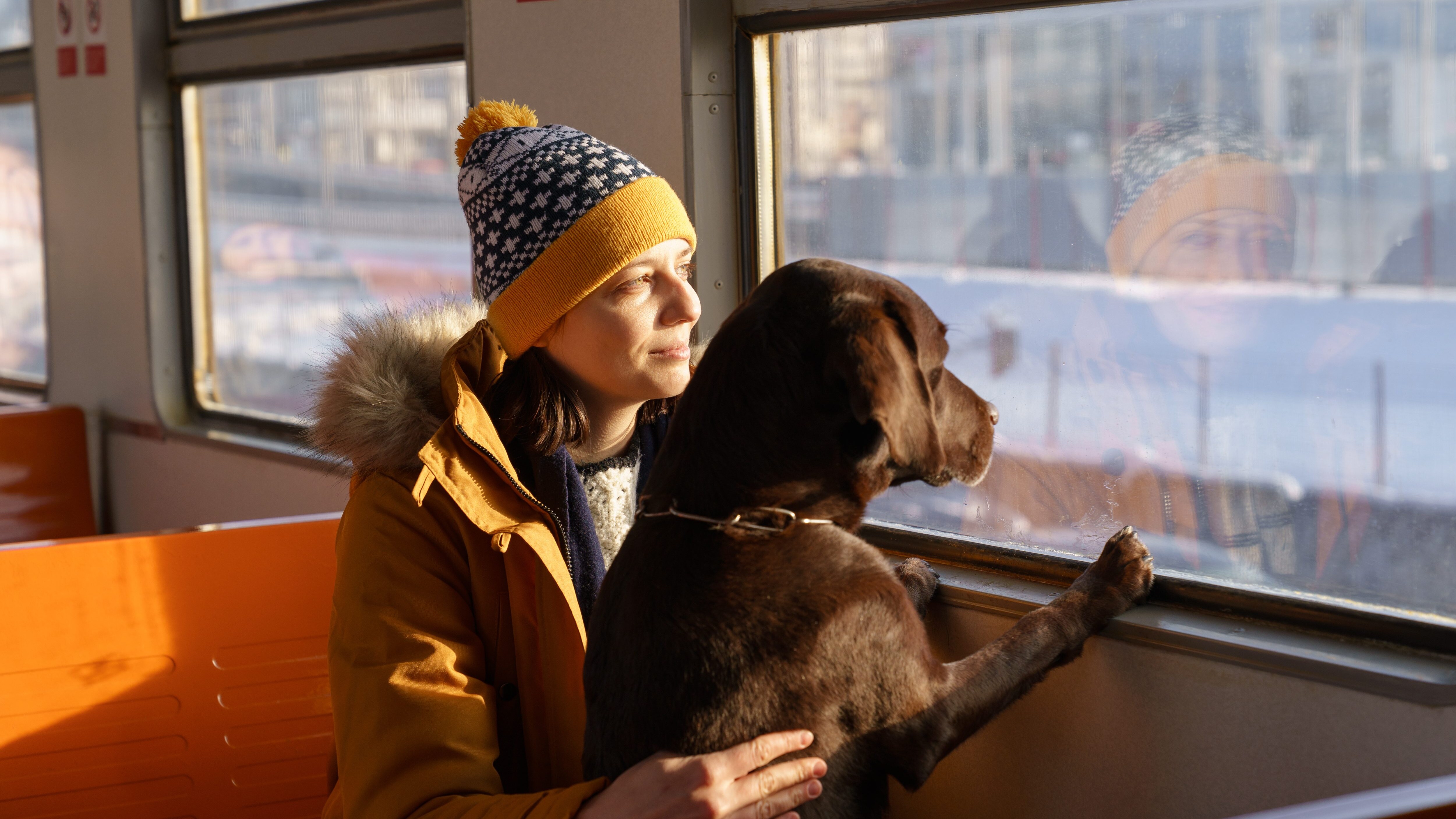 cani treno