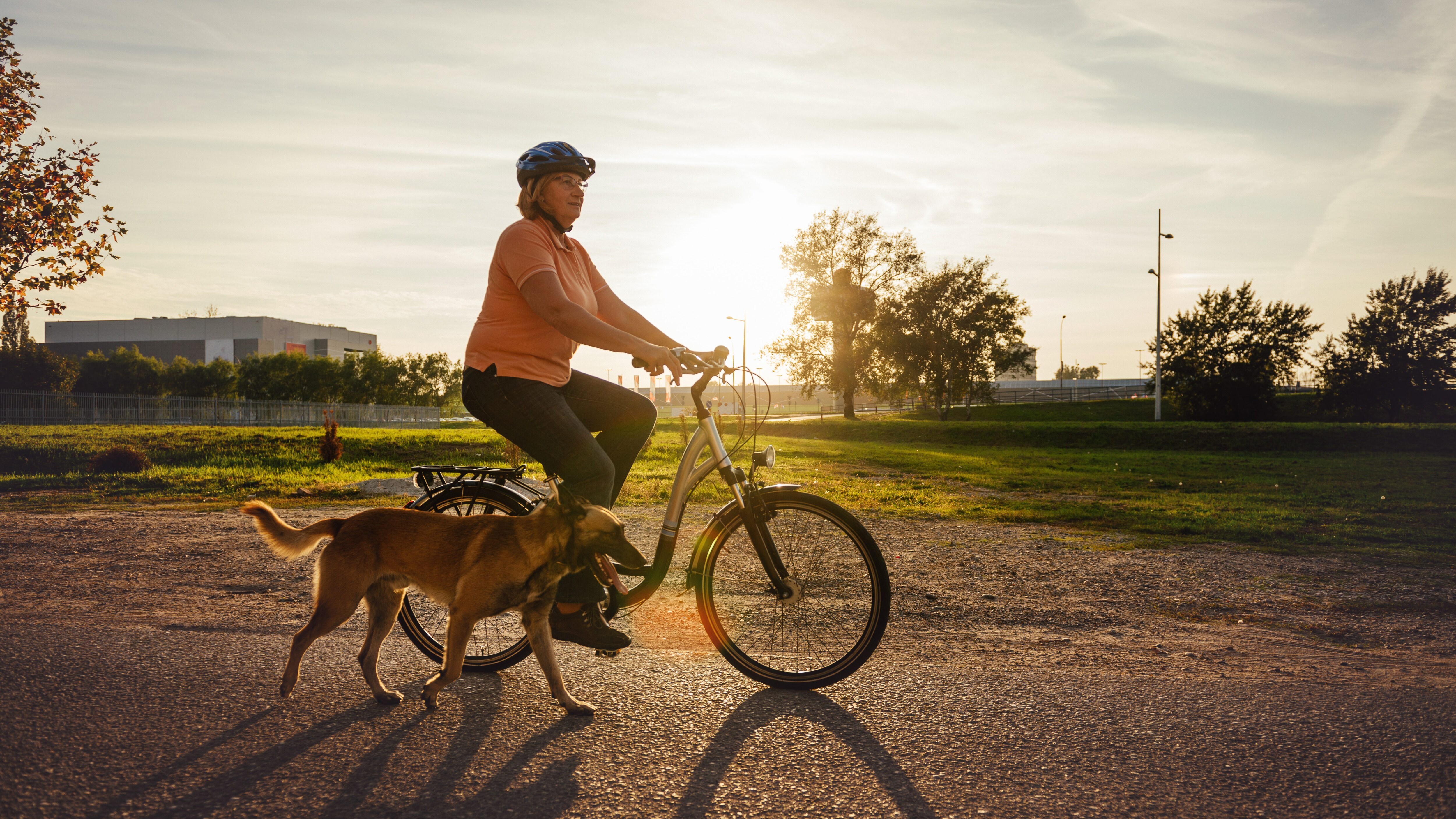 cane bici