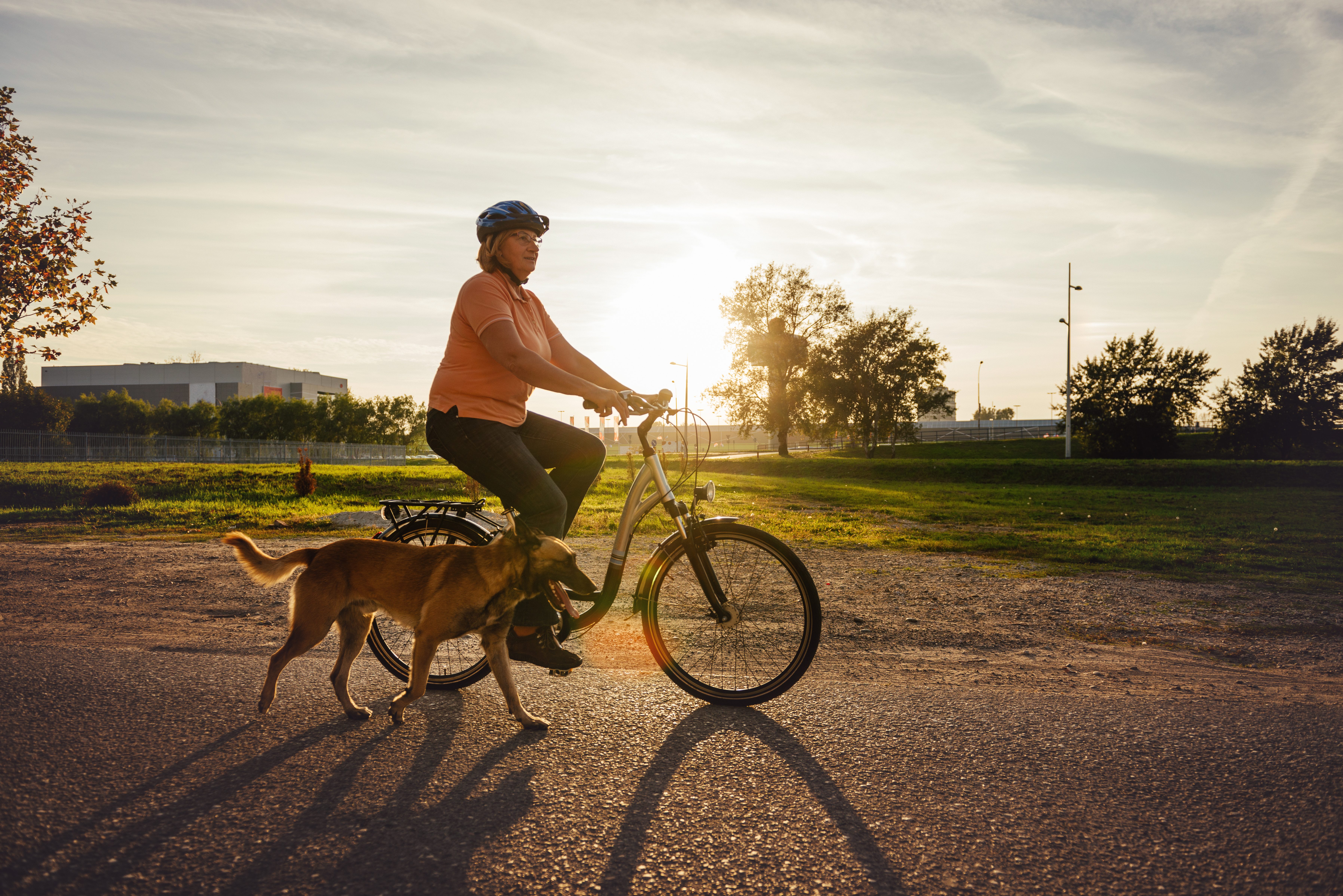 cane bici