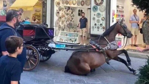 cavallo Firenze