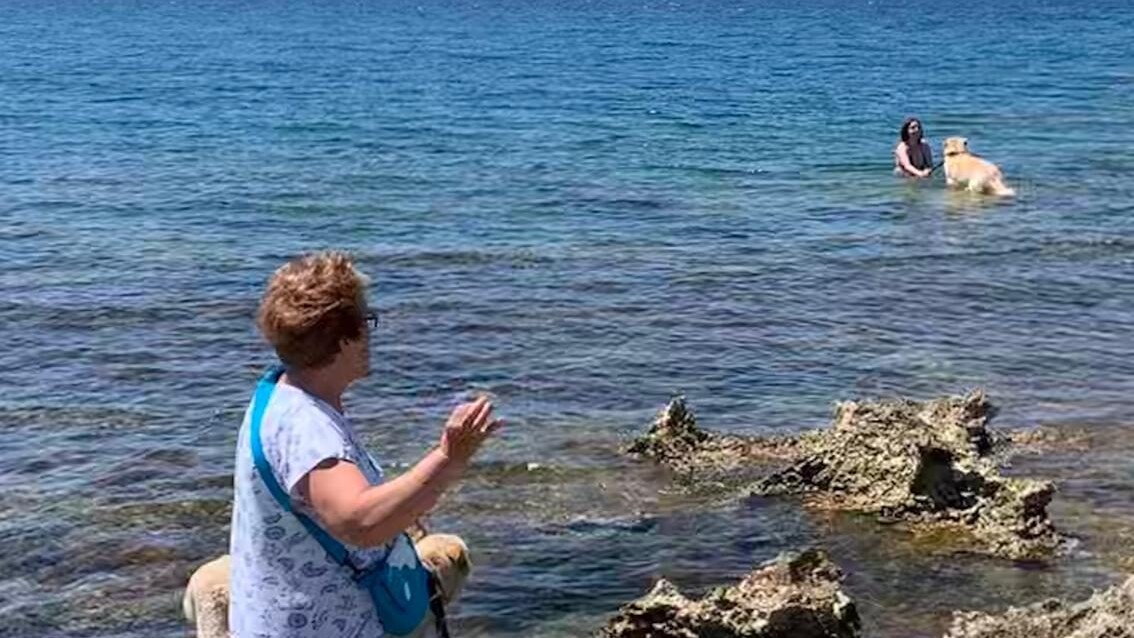 Nardo spiaggia | Kodami