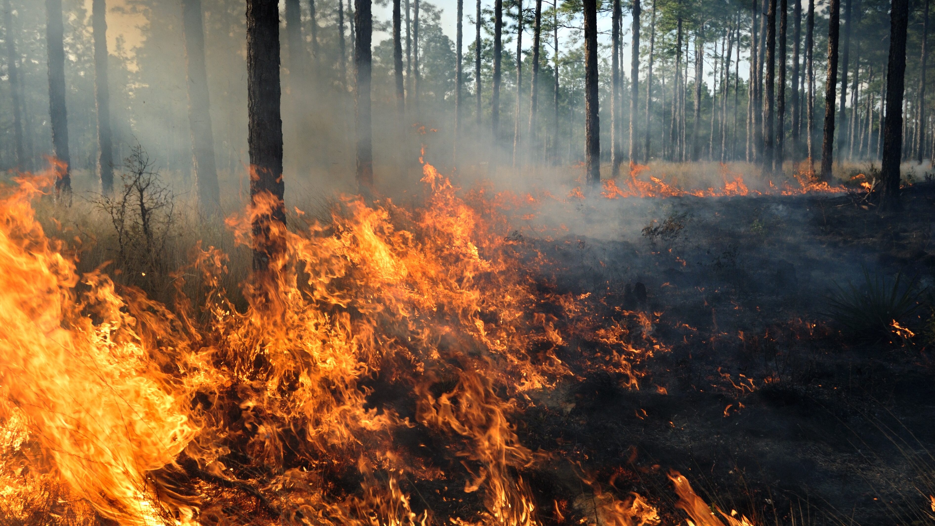 incendio