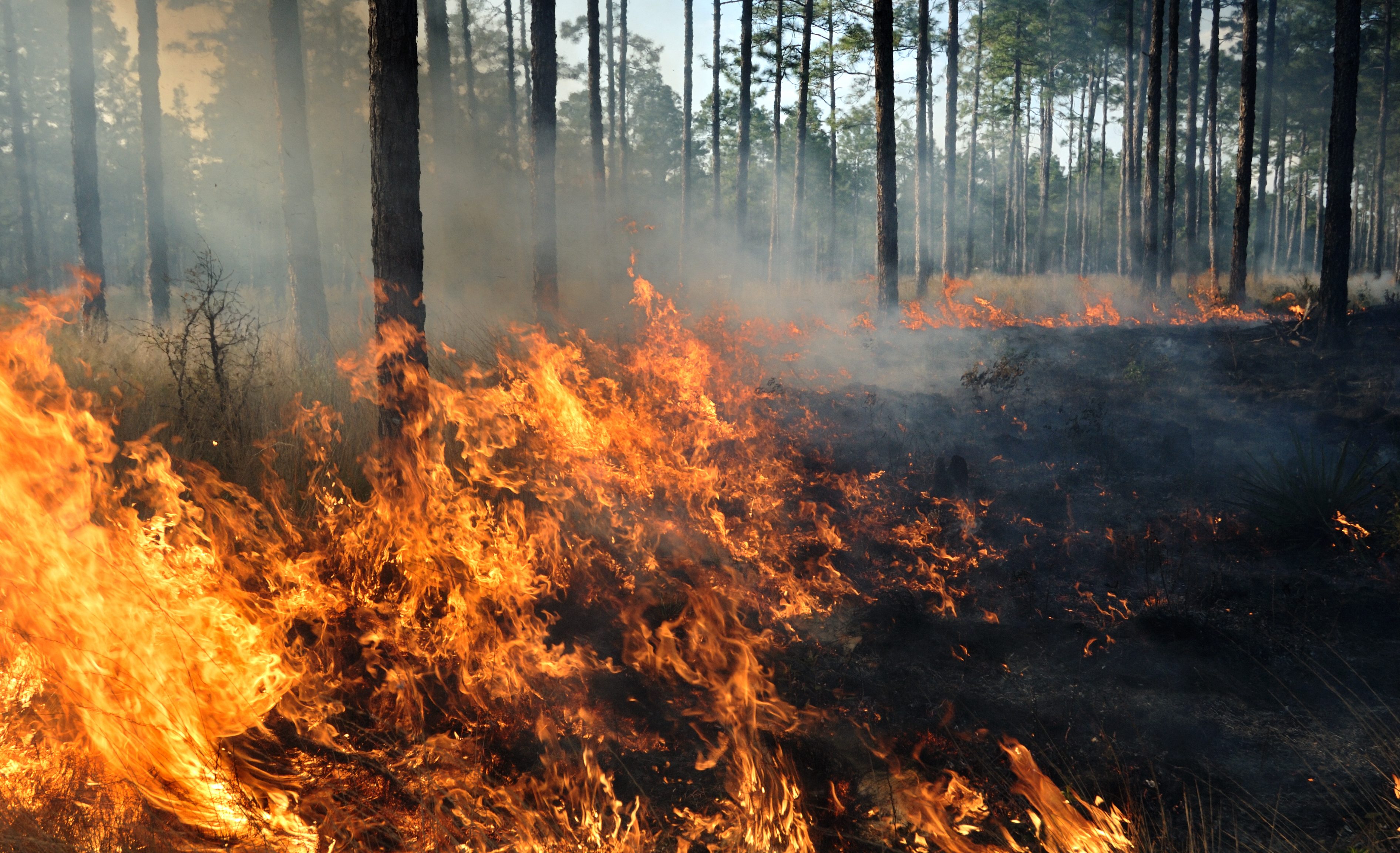 incendio