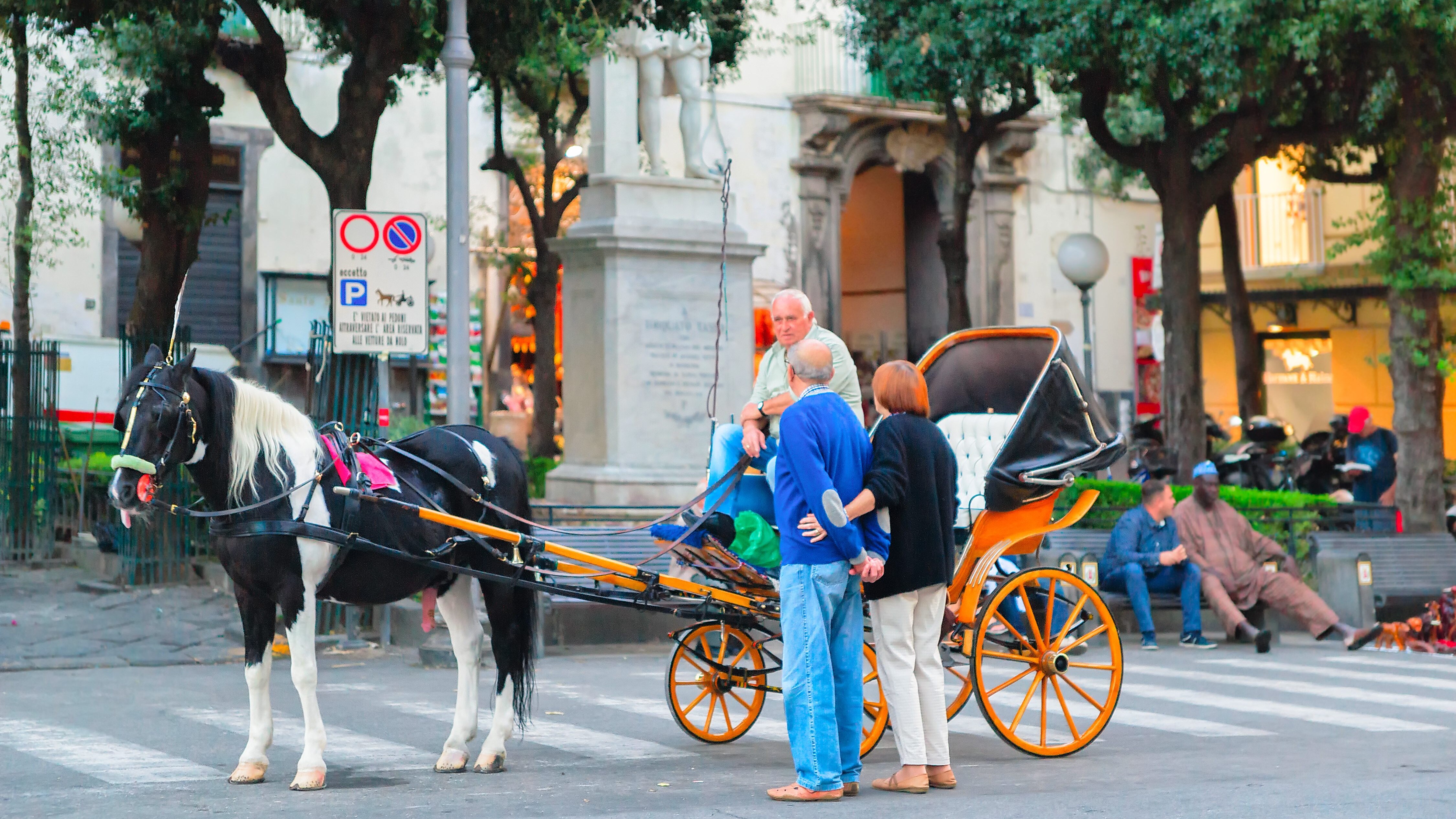 sorrento carrozzelle
