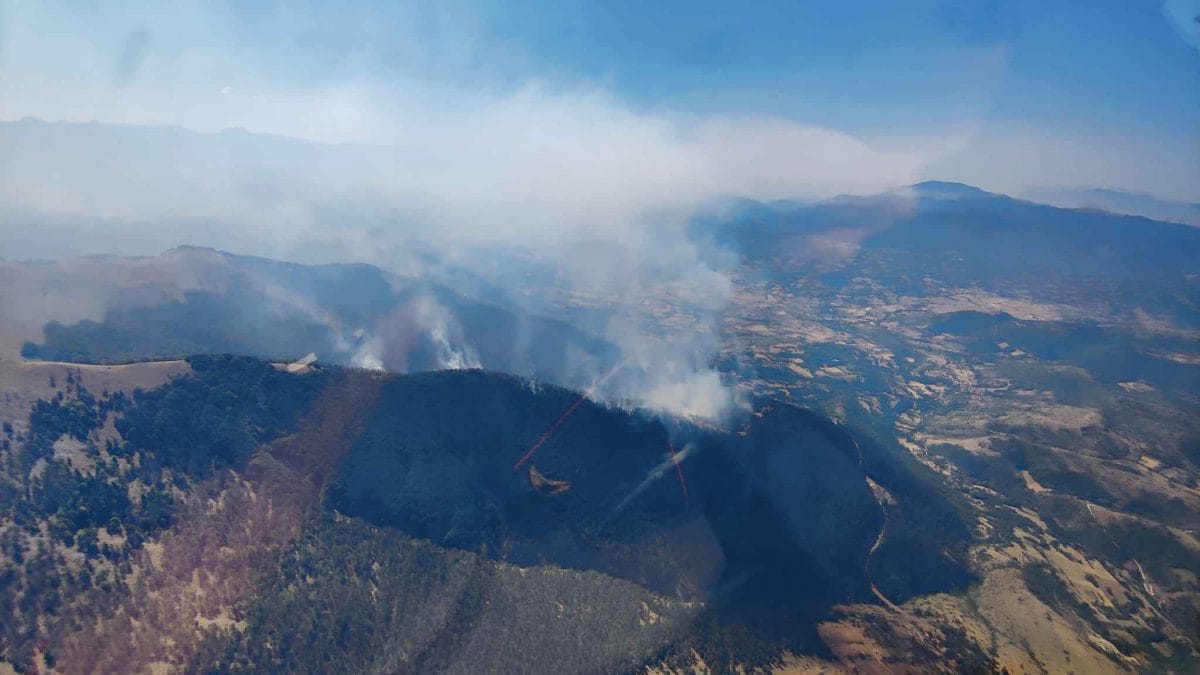 incendio parco nazionale lazio abruzzo e molise