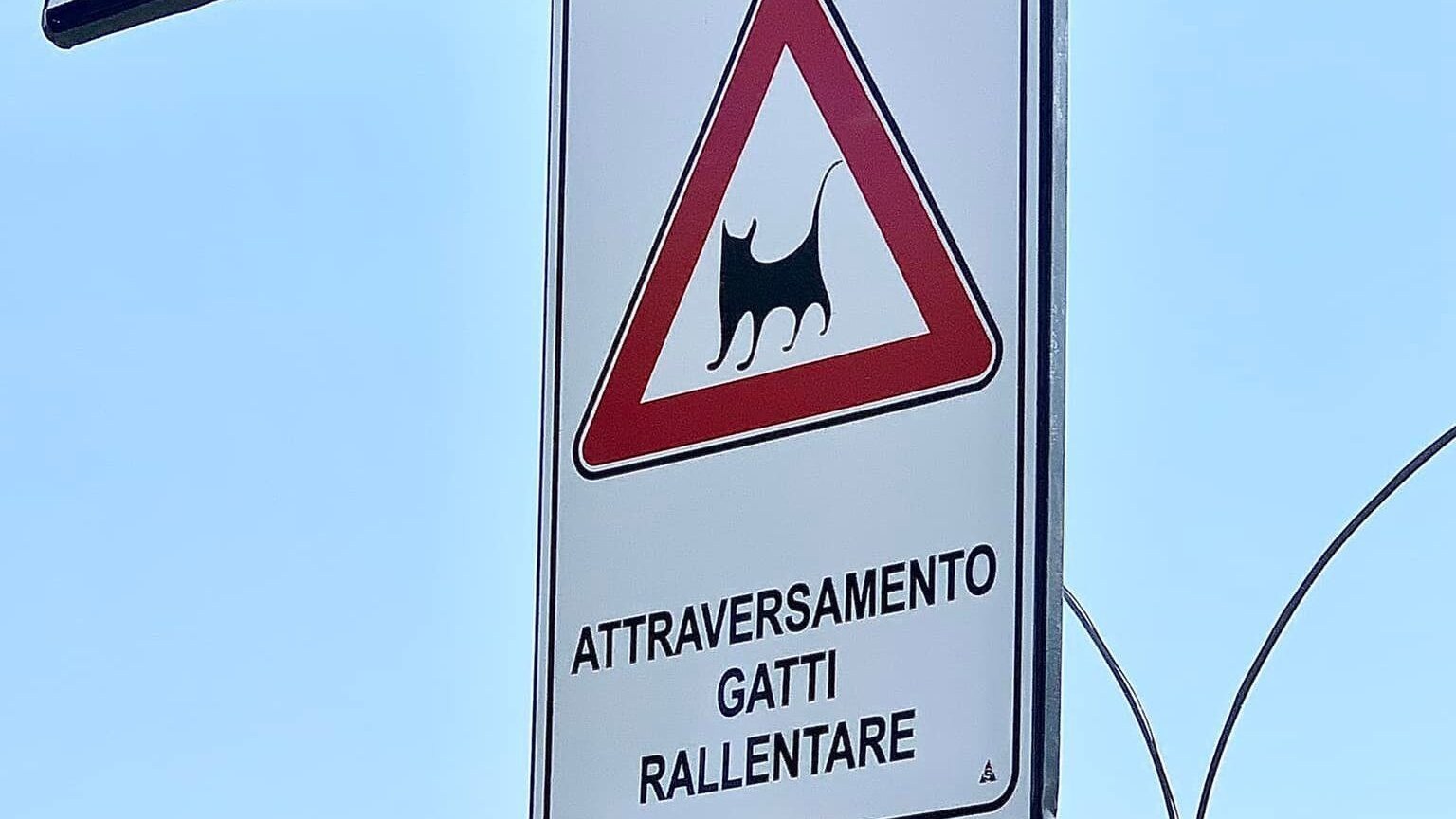 Attraversamento-gatti-cartello